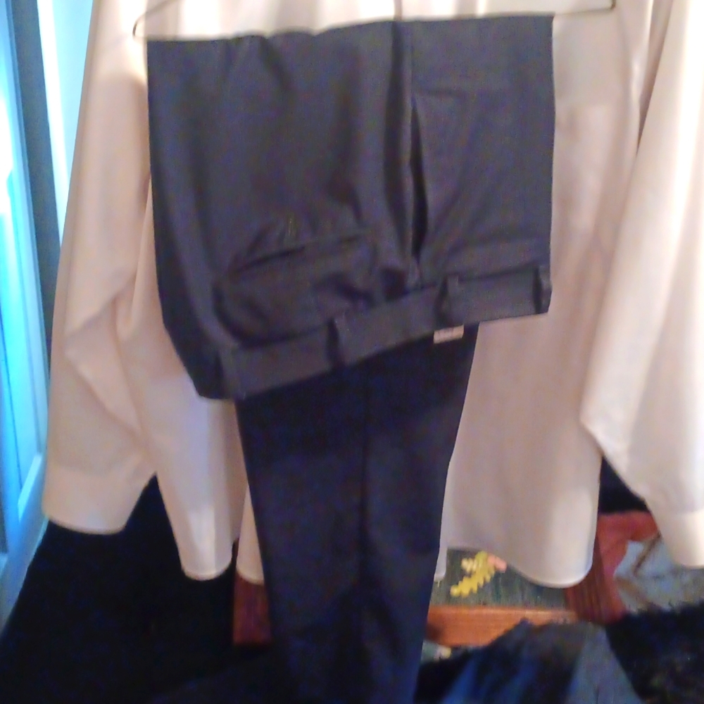 Dress pants